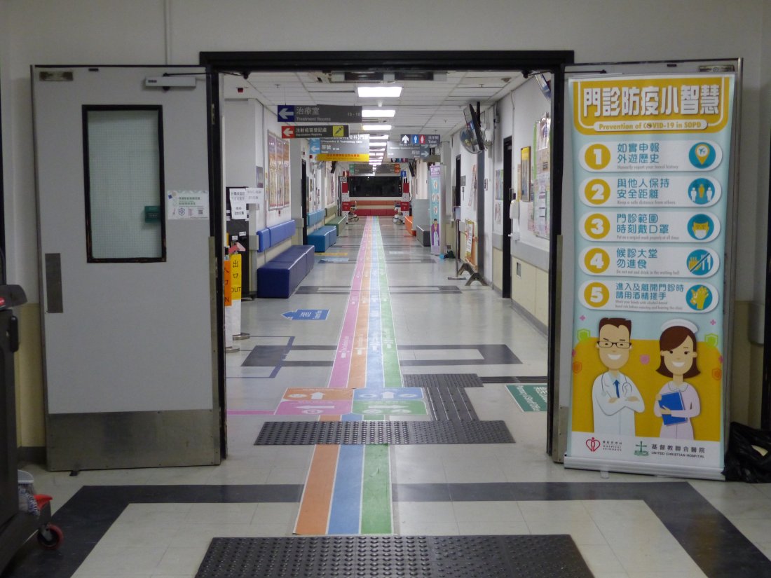 Osiyolik ayolning mushukining toliq ekranli fotosurati